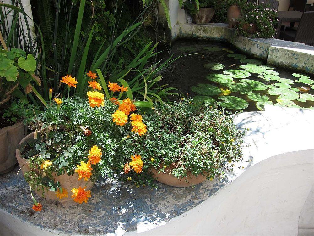 Ave Gratia Plena Hostel Salerno Bagian luar foto